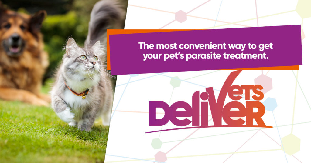 vetsdeliver_-_the_most_convenient_way