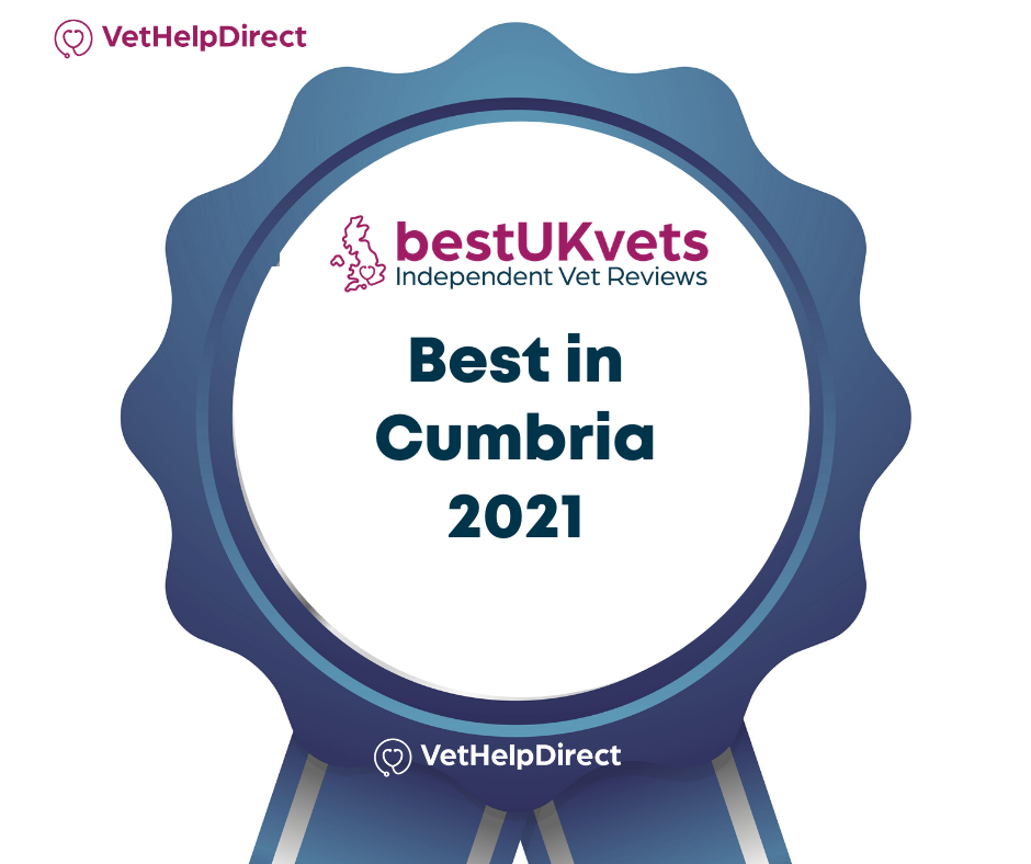 2021 BUKV Website Badge
