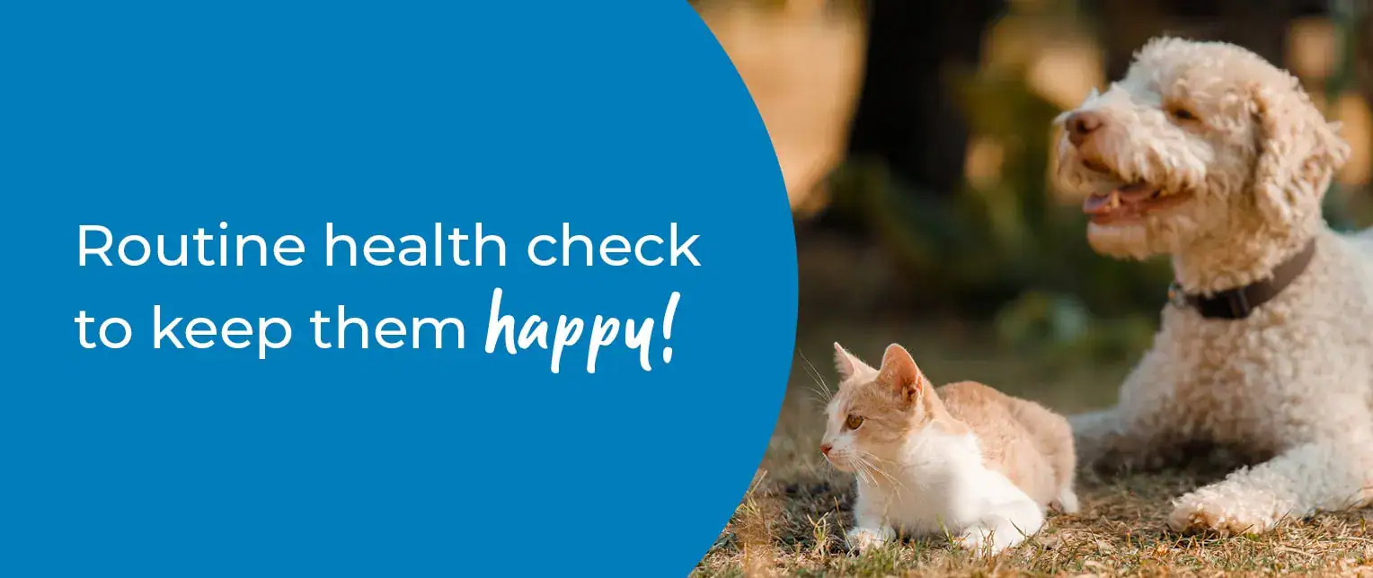 Routine health check to keep them happy! Routine health check to keep them happy!