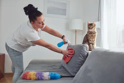 heyfever cats