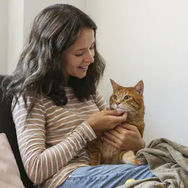 cat being stroked
